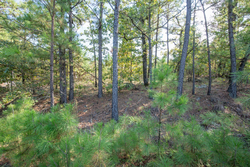 property photo for Stone Bridge Phase I Tract 56, 13.18 acres for sale in LatimerHaskell County, Oklahoma