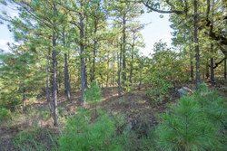 property photo for Stone Bridge Phase I Tract 56, 13.18 acres for sale in LatimerHaskell County, Oklahoma