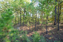 property photo for Stone Bridge Phase I Tract 56, 13.18 acres for sale in LatimerHaskell County, Oklahoma