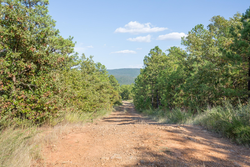 property photo for Stone Bridge Phase I Tract 56, 13.18 acres for sale in LatimerHaskell County, Oklahoma