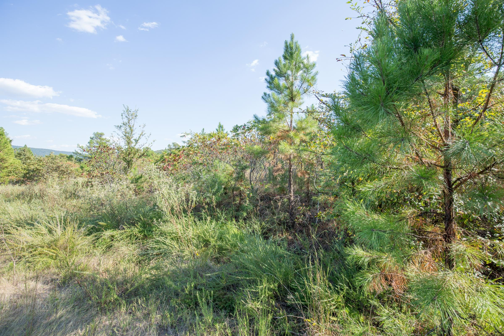 13.18 acre rural land tract for sale at Stone Bridge Phase I Tract 56 in LatimerHaskell County, Oklahoma