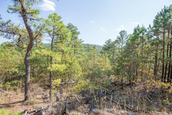 property photo for Stone Bridge Phase I Tract 57, 13.51 acres for sale in LatimerHaskell County, Oklahoma