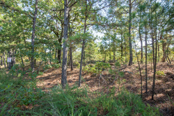 property photo for Stone Bridge Phase I Tract 57, 13.51 acres for sale in LatimerHaskell County, Oklahoma