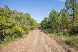 property photo for Stone Bridge Phase I Tract 57, 13.51 acres for sale in LatimerHaskell County, Oklahoma