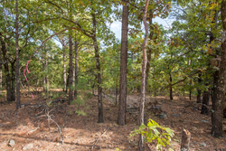 property photo for Stone Bridge Phase I Tract 58, 26.86 acres for sale in LatimerHaskell County, Oklahoma