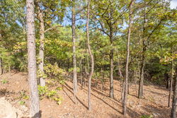 property photo for Stone Bridge Phase I Tract 58, 26.86 acres for sale in LatimerHaskell County, Oklahoma