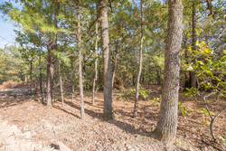 property photo for Stone Bridge Phase I Tract 58, 26.86 acres for sale in LatimerHaskell County, Oklahoma