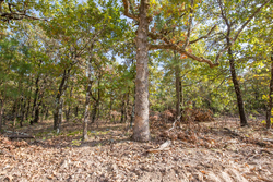 property photo for Stone Bridge Phase I Tract 58, 26.86 acres for sale in LatimerHaskell County, Oklahoma