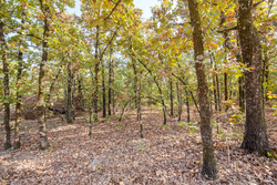 property photo for Stone Bridge Phase I Tract 58, 26.86 acres for sale in LatimerHaskell County, Oklahoma