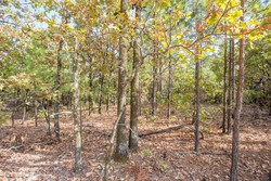property photo for Stone Bridge Phase I Tract 58, 26.86 acres for sale in LatimerHaskell County, Oklahoma