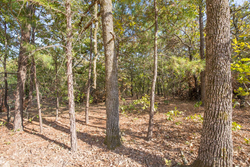 property photo for Stone Bridge Phase I Tract 58, 26.86 acres for sale in LatimerHaskell County, Oklahoma