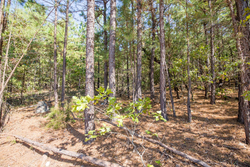 property photo for Stone Bridge Phase I Tract 71, 59.64 acres for sale in LatimerHaskell County, Oklahoma