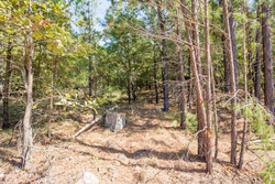 property photo for Stone Bridge Phase I Tract 71, 59.64 acres for sale in LatimerHaskell County, Oklahoma
