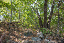 property photo for Stone Bridge Phase I Tract 71, 59.64 acres for sale in LatimerHaskell County, Oklahoma