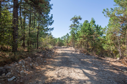 property photo for Stone Bridge Phase I Tract 71, 59.64 acres for sale in LatimerHaskell County, Oklahoma