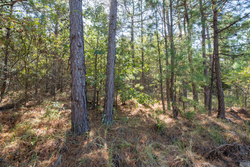 property photo for Stone Bridge Phase I Tract 71, 59.64 acres for sale in LatimerHaskell County, Oklahoma