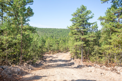 property photo for Stone Bridge Phase I Tract 71, 59.64 acres for sale in LatimerHaskell County, Oklahoma