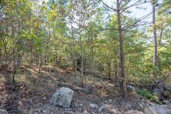 property photo for Stone Bridge Phase I Tract 71, 59.64 acres for sale in LatimerHaskell County, Oklahoma