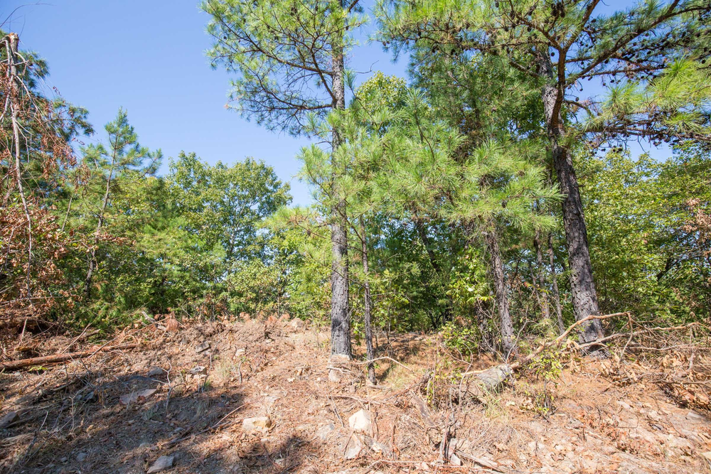 59.64 acre rural land tract for sale at Stone Bridge Phase I Tract 71 in LatimerHaskell County, Oklahoma