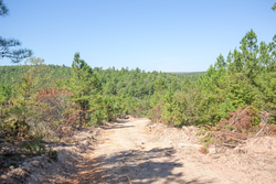 property photo for Stone Bridge Phase I Tract 72, 41.24 acres for sale in LatimerHaskell County, Oklahoma