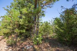 property photo for Stone Bridge Phase I Tract 72, 41.24 acres for sale in LatimerHaskell County, Oklahoma
