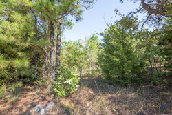 property photo for Stone Bridge Phase I Tract 72, 41.24 acres for sale in LatimerHaskell County, Oklahoma