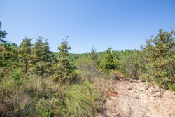 property photo for Stone Bridge Phase I Tract 72, 41.24 acres for sale in LatimerHaskell County, Oklahoma