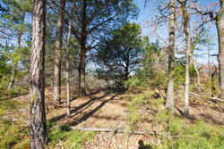 property photo for Stone Bridge Phase II Tract 100, 19.7 acres for sale in LatimerHaskell County, Oklahoma