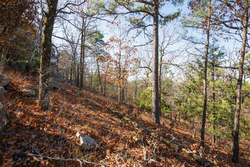 property photo for Stone Bridge Phase II Tract 100, 19.7 acres for sale in LatimerHaskell County, Oklahoma