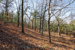 property photo for Stone Bridge Phase II Tract 100, 19.7 acres for sale in LatimerHaskell County, Oklahoma