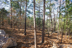 property photo for Stone Bridge Phase II Tract 100, 19.7 acres for sale in LatimerHaskell County, Oklahoma
