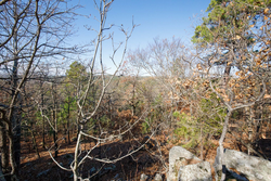 property photo for Stone Bridge Phase II Tract 100, 19.7 acres for sale in LatimerHaskell County, Oklahoma
