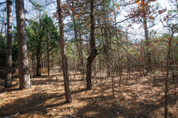 property photo for Stone Bridge Phase II Tract 102, 15.77 acres for sale in LatimerHaskell County, Oklahoma