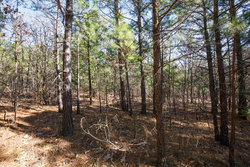 property photo for Stone Bridge Phase II Tract 102, 15.77 acres for sale in LatimerHaskell County, Oklahoma
