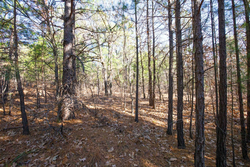 property photo for Stone Bridge Phase II Tract 102, 15.77 acres for sale in LatimerHaskell County, Oklahoma