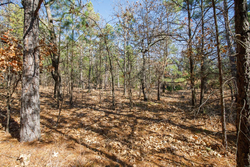 property photo for Stone Bridge Phase II Tract 102, 15.77 acres for sale in LatimerHaskell County, Oklahoma