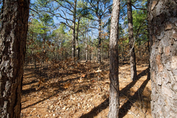 property photo for Stone Bridge Phase II Tract 102, 15.77 acres for sale in LatimerHaskell County, Oklahoma