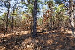 property photo for Stone Bridge Phase II Tract 102, 15.77 acres for sale in LatimerHaskell County, Oklahoma
