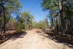 property photo for Stone Bridge Phase II Tract 102, 15.77 acres for sale in LatimerHaskell County, Oklahoma
