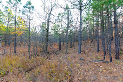 property photo for Stone Bridge Phase II Tract 119, 14.84 acres for sale in LatimerHaskell County, Oklahoma