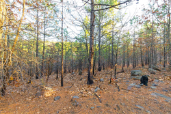 property photo for Stone Bridge Phase II Tract 119, 14.84 acres for sale in LatimerHaskell County, Oklahoma