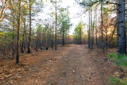 property photo for Stone Bridge Phase II Tract 119, 14.84 acres for sale in LatimerHaskell County, Oklahoma