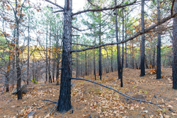 property photo for Stone Bridge Phase II Tract 119, 14.84 acres for sale in LatimerHaskell County, Oklahoma
