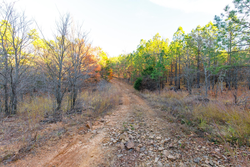 property photo for Stone Bridge Phase II Tract 119, 14.84 acres for sale in LatimerHaskell County, Oklahoma