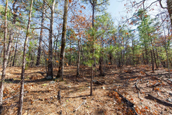 property photo for Stone Bridge Phase II Tract 128, 65.45 acres for sale in LatimerHaskell County, Oklahoma