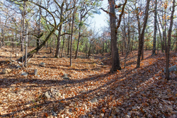 property photo for Stone Bridge Phase II Tract 128, 65.45 acres for sale in LatimerHaskell County, Oklahoma