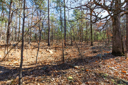 property photo for Stone Bridge Phase II Tract 128, 65.45 acres for sale in LatimerHaskell County, Oklahoma