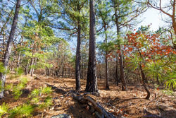 property photo for Stone Bridge Phase II Tract 128, 65.45 acres for sale in LatimerHaskell County, Oklahoma