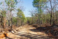 property photo for Stone Bridge Phase II Tract 128, 65.45 acres for sale in LatimerHaskell County, Oklahoma