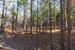 property photo for Stone Bridge Phase II Tract 129, 78.92 acres for sale in LatimerHaskell County, Oklahoma